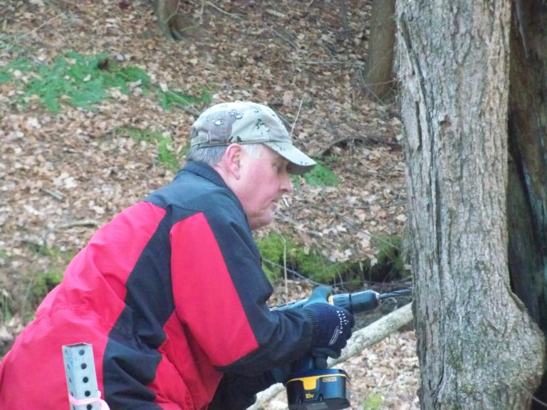 how-maple-syrup-is-made-massachusetts-maple-producers-association